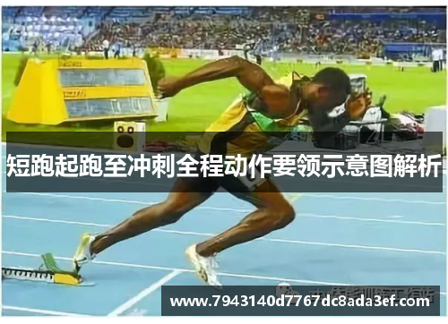 短跑起跑至冲刺全程动作要领示意图解析