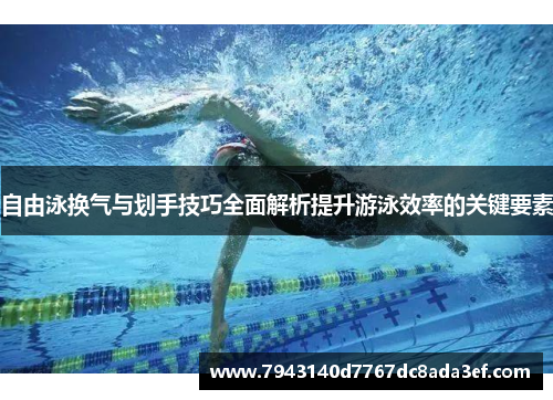 自由泳换气与划手技巧全面解析提升游泳效率的关键要素