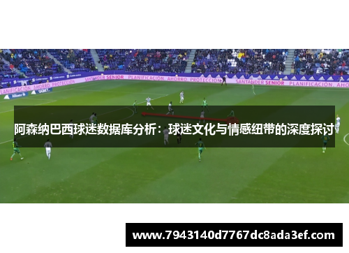 阿森纳巴西球迷数据库分析：球迷文化与情感纽带的深度探讨